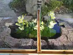 阿智神社の手水