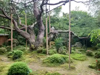 宝泉院(京都府)
