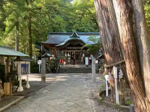 椙本神社(高知県)