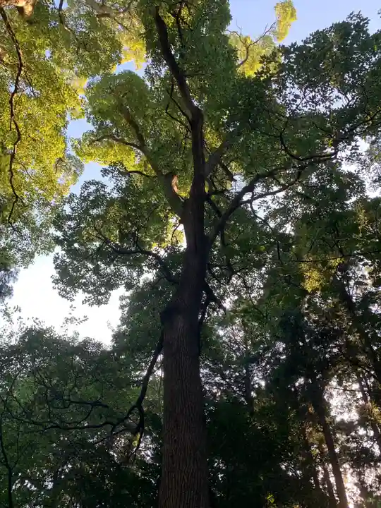 麻賀多神社(千葉県)