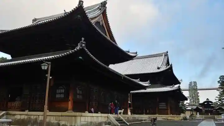 妙心寺(妙心禅寺)の本殿・本堂