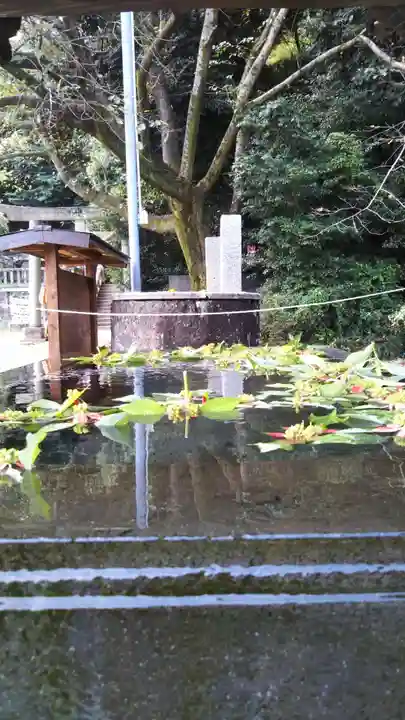 前玉神社の手水舎