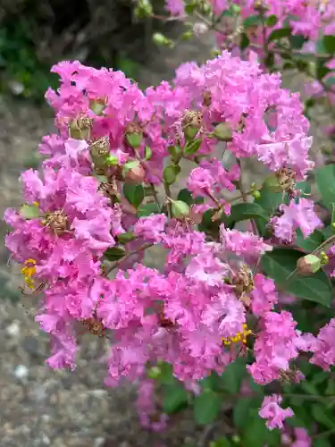 多田幸寺の自然