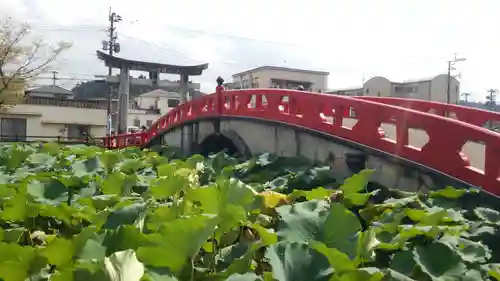 青井阿蘇神社の建物その他