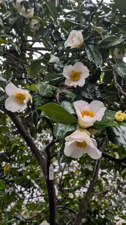 城南宮(京都府)