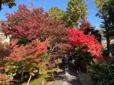 鹿王院(京都府)