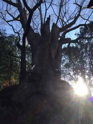 白瀧神社(群馬県)