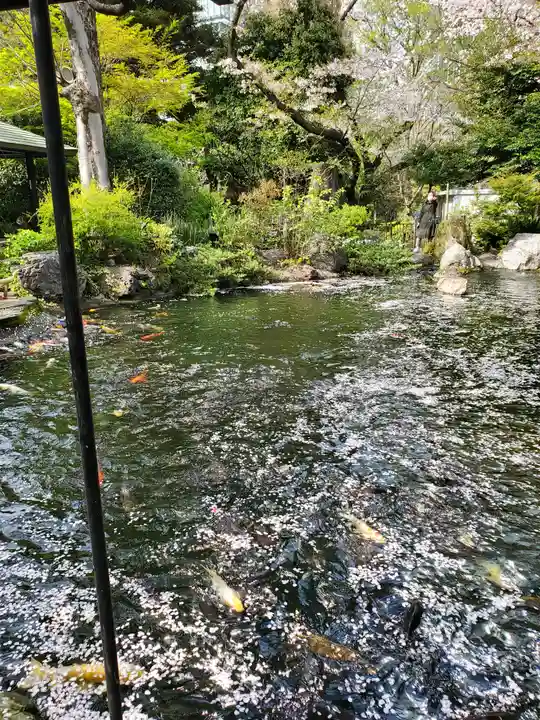愛宕神社の庭園