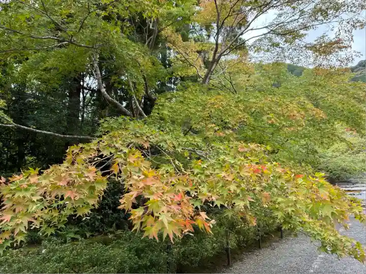 二尊院(京都府)