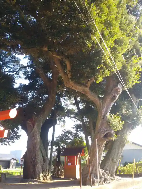 道路衢神(茨城県)