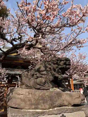 湯島天満宮の狛犬