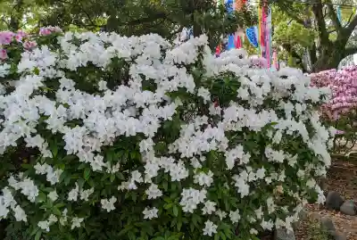 長良八劔社の{uncategorized: "未分類", other: "その他", undefined: "問題あり", building: "その他建物", grave: "お墓", sacred_gate: "鳥居", guardian: "狛犬", statue: "像", buddha: "仏像", history: "歴史", nature: "自然", garden: "庭園", animal: "動物", pagoda: "塔", temizu: "手水舎", mountain_gate: "山門・神門", sanctuary: "本殿・本堂", subordinate: "末社・摂社", art: "芸術", scenery: "景色", jizo: "地蔵", ema: "絵馬", goshuin: "御朱印", omikuji: "おみくじ", items: "授与品その他", amulet: "お守り", goshuincho: "御朱印帳", eats: "食事", festival: "お祭り", votive_dance: "神楽", shichigosan: "七五三参", wedding: "結婚式", experience: "体験その他", initially: "初詣", around: "周辺", anti_infection: "感染症対策"}