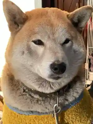 笠䅣稲荷神社(神奈川県)