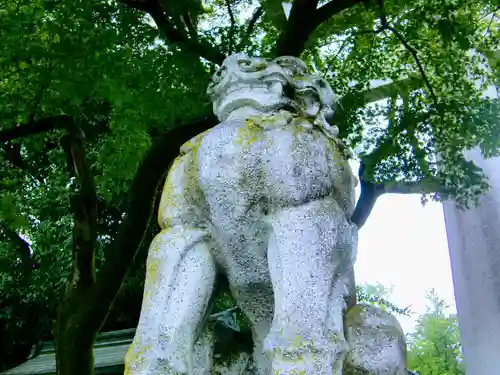 秩父神社の狛犬