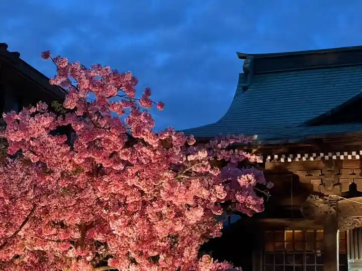 桜神宮の{uncategorized: "未分類", other: "その他", undefined: "問題あり", building: "その他建物", grave: "お墓", sacred_gate: "鳥居", guardian: "狛犬", statue: "像", buddha: "仏像", history: "歴史", nature: "自然", garden: "庭園", animal: "動物", pagoda: "塔", temizu: "手水舎", mountain_gate: "山門・神門", sanctuary: "本殿・本堂", subordinate: "末社・摂社", art: "芸術", scenery: "景色", jizo: "地蔵", ema: "絵馬", goshuin: "御朱印", omikuji: "おみくじ", items: "授与品その他", amulet: "お守り", goshuincho: "御朱印帳", eats: "食事", festival: "お祭り", votive_dance: "神楽", shichigosan: "七五三参", wedding: "結婚式", experience: "体験その他", initially: "初詣", around: "周辺", anti_infection: "感染症対策"}