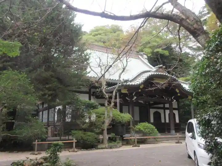 妙本寺(神奈川県)