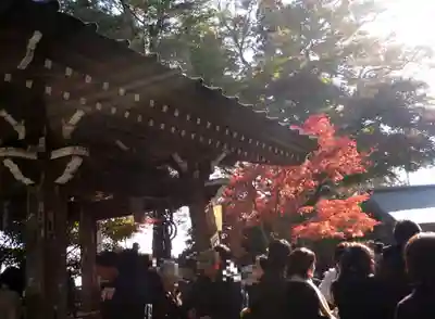 高尾山薬王院の手水舎