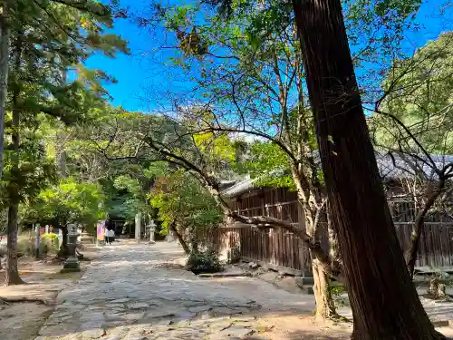 櫻井神社の建物その他