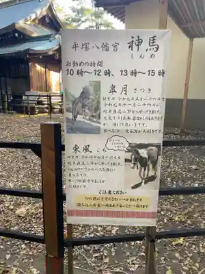 平塚八幡宮(神奈川県)