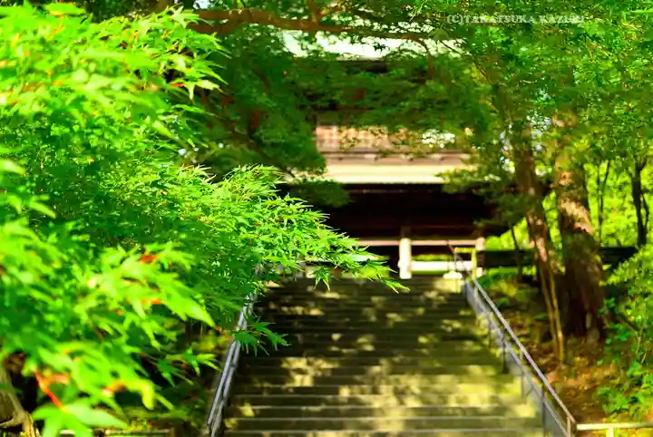 円覚寺(神奈川県)