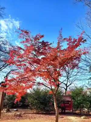 神炊館神社 ⁂奥州須賀川総鎮守⁂(福島県)