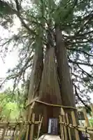 戸隠神社中社(長野県)