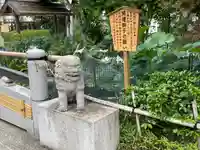 祥泉院の狛犬