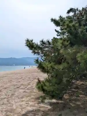 天橋立神社の{uncategorized: "未分類", other: "その他", undefined: "問題あり", building: "その他建物", grave: "お墓", sacred_gate: "鳥居", guardian: "狛犬", statue: "像", buddha: "仏像", history: "歴史", nature: "自然", garden: "庭園", animal: "動物", pagoda: "塔", temizu: "手水舎", mountain_gate: "山門・神門", sanctuary: "本殿・本堂", subordinate: "末社・摂社", art: "芸術", scenery: "景色", jizo: "地蔵", ema: "絵馬", goshuin: "御朱印", omikuji: "おみくじ", items: "授与品その他", amulet: "お守り", goshuincho: "御朱印帳", eats: "食事", festival: "お祭り", votive_dance: "神楽", shichigosan: "七五三参", wedding: "結婚式", experience: "体験その他", initially: "初詣", around: "周辺", anti_infection: "感染症対策"}