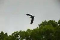 上領八幡宮(山口県)