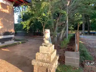 白幡神社の狛犬
