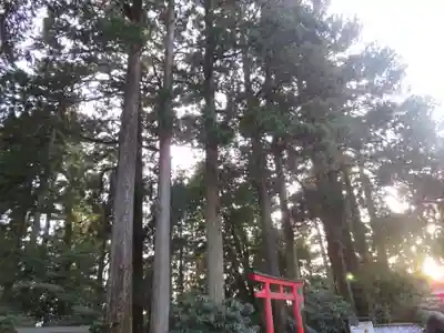 箱根神社(神奈川県)