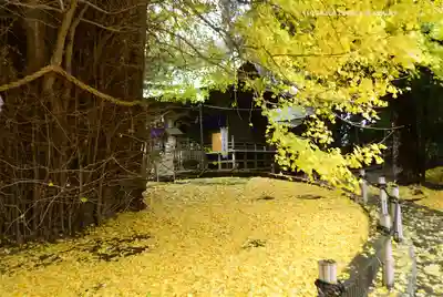 鶴嶺八幡宮(神奈川県)
