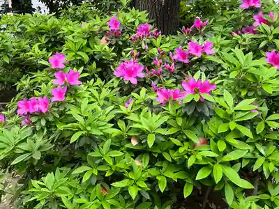 蒲田八幡神社(東京都)