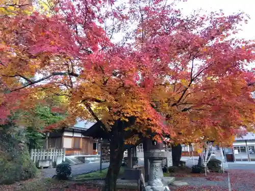 足羽神社(福井県)
