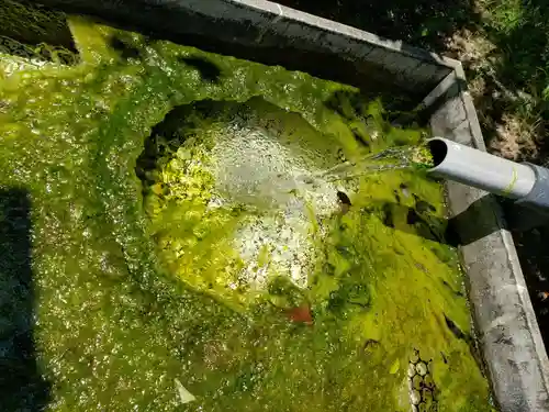 小勢護国神社の手水