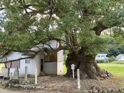 速雨神社(徳島県)