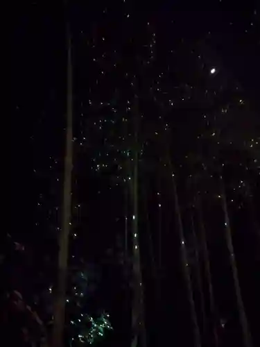 高台寺（高台寿聖禅寺・高臺寺）(京都府)