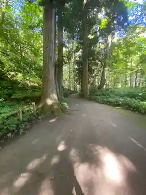 十和田神社の周辺