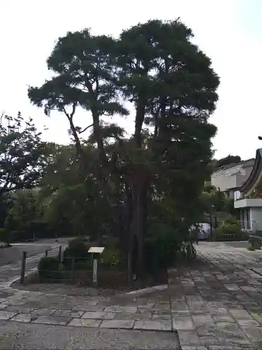 禪定院(東京都)