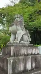 武田神社の狛犬