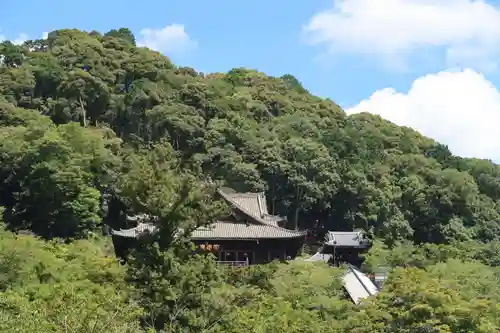 長谷寺の本殿