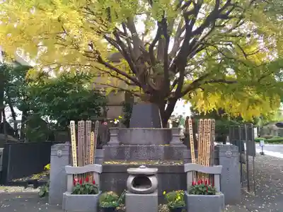 回向院(東京都)