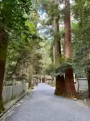 椿大神社(三重県)