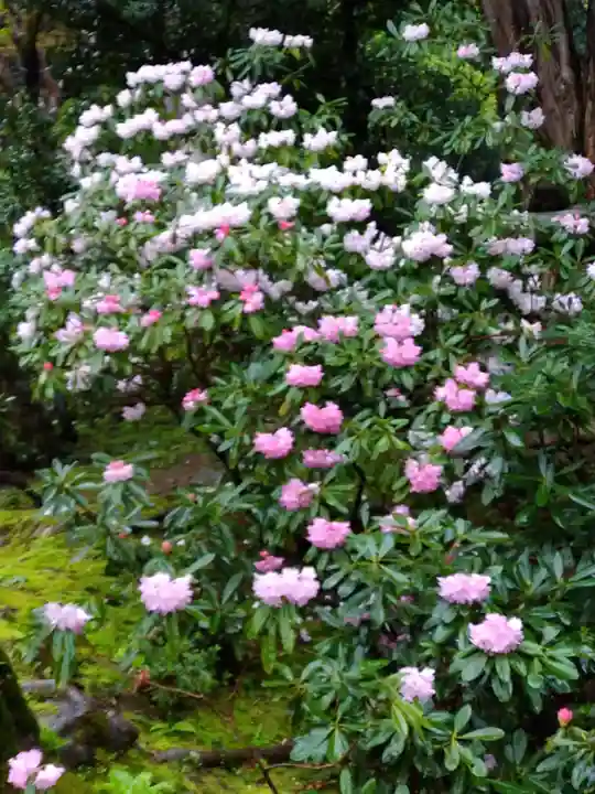 金剛輪寺(滋賀県)