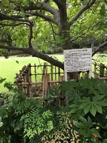 和樂備神社の自然