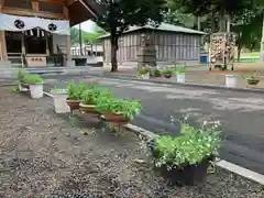 石山神社の建物その他