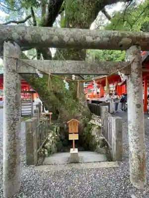 熊野那智大社(和歌山県)