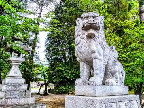 本刈谷神社の狛犬