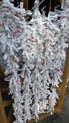 北海道神宮のおみくじ