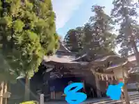 白山比咩神社の本殿・本堂